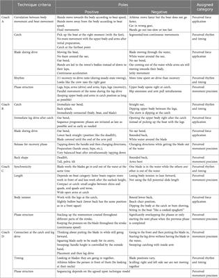 Insights from expert coaches on technical performance evaluation in rowing: a pilot study